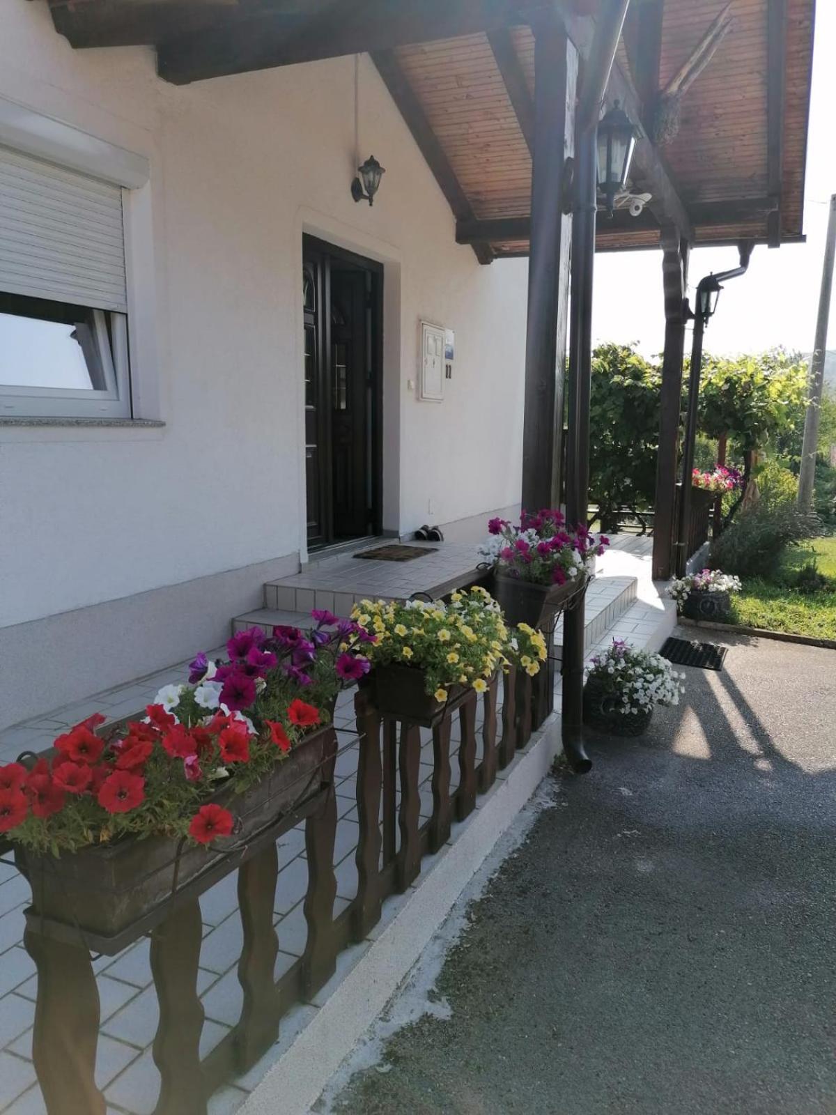 Hotel House Viktoria Seliste Dreznicko Esterno foto