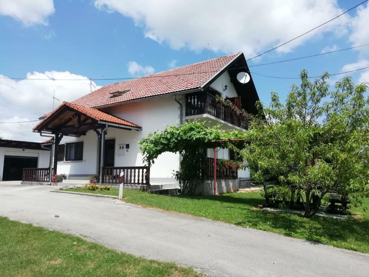 Hotel House Viktoria Seliste Dreznicko Esterno foto